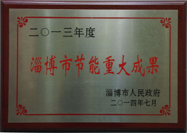 淄博市节能重大成果